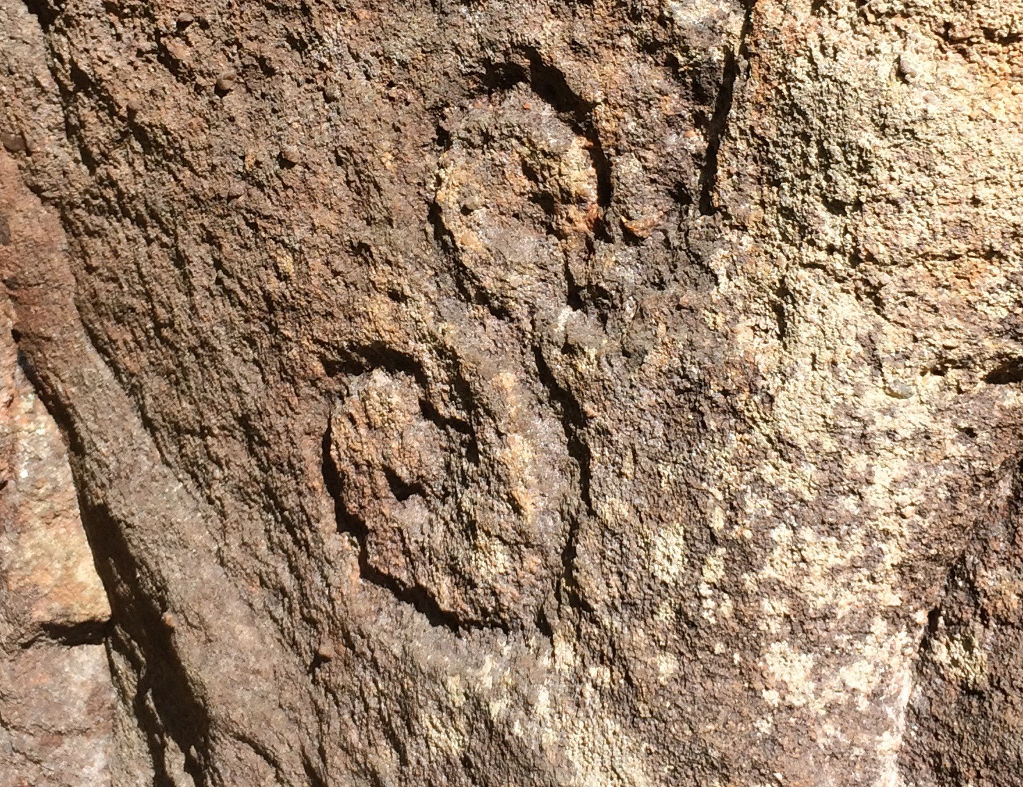 Prehistoric Rock Carvings – Rediscovering Scotland